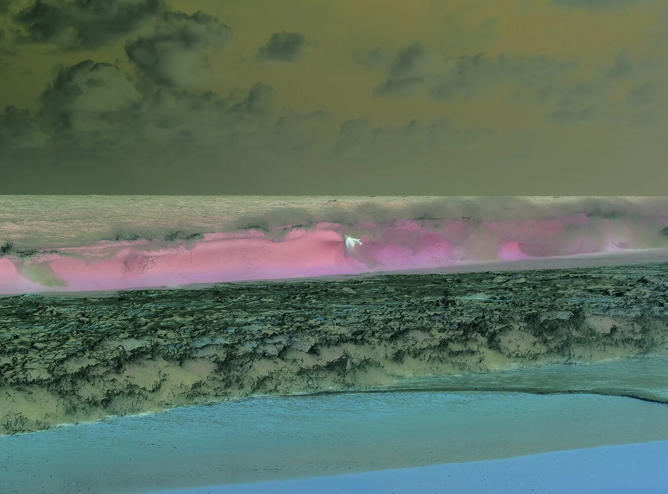 A Symphony in Photography - Richard Misrach on 'Notations' — about